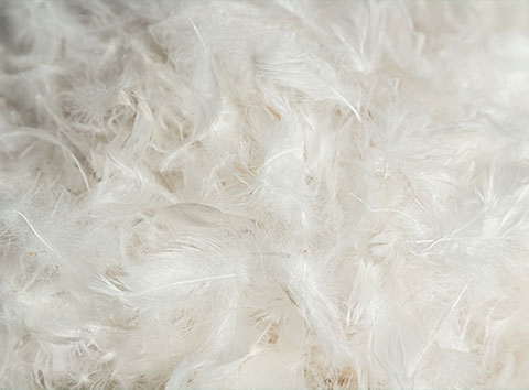 HB furniture filling materials