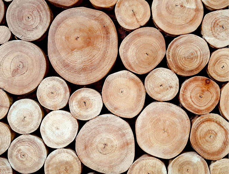 HB furniture wood materials